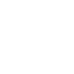 Voitures Électriques