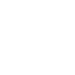 SUV & 4x4
